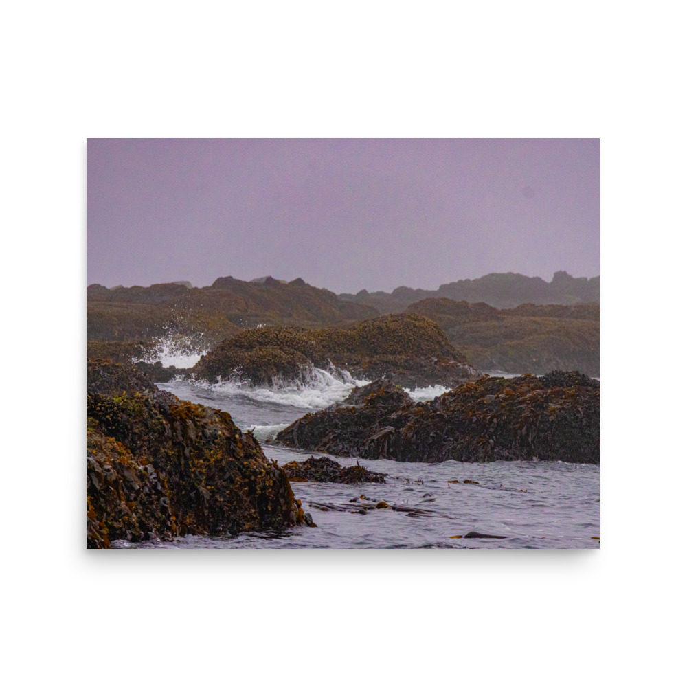 Kelp Coast, Tide Pools at Tongue Point, Salt Creek Recreation Area — Landscape Print