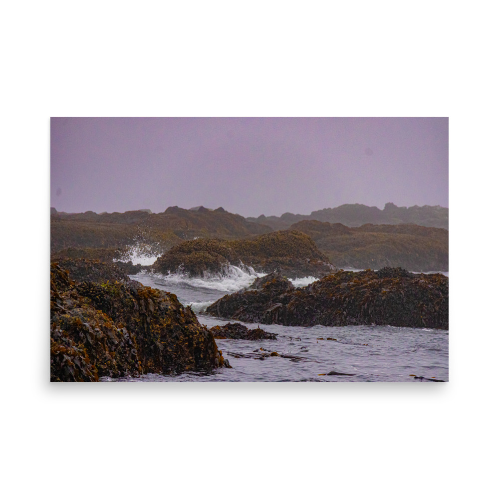 Kelp Coast, Tide Pools at Tongue Point, Salt Creek Recreation Area — Landscape Print - Image 2