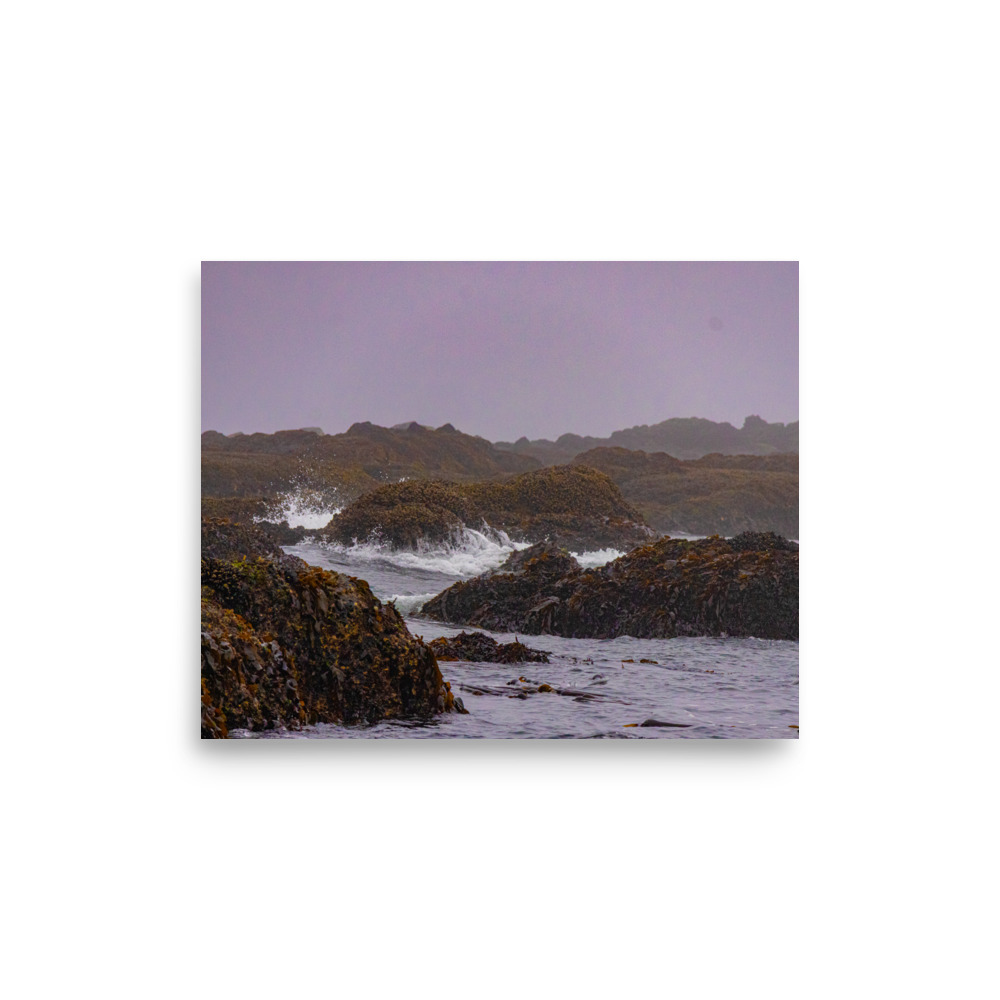 Kelp Coast, Tide Pools at Tongue Point, Salt Creek Recreation Area — Landscape Print - Image 3