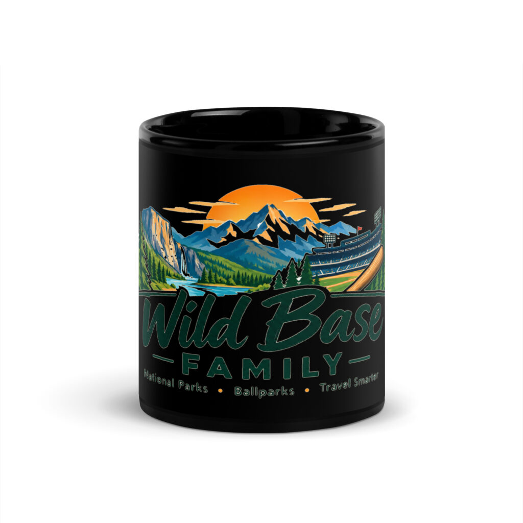Black Glossy Mug