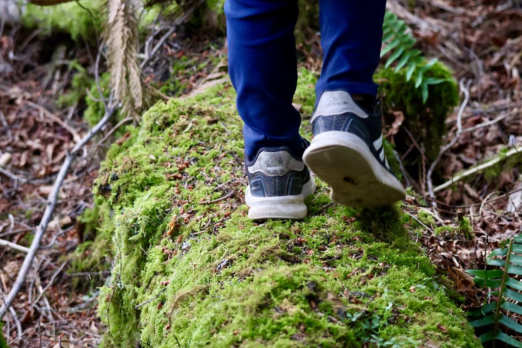 Shoes on a mossy log on the Moments in Time trail.