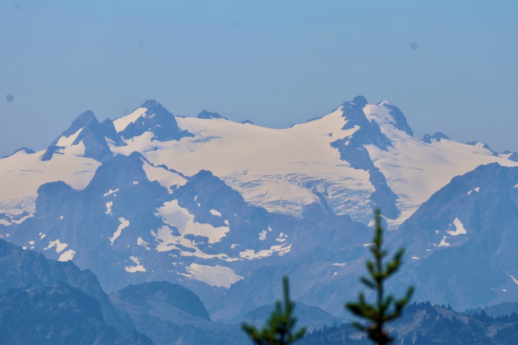 Snow-covered Mount Olympus rising beyond forested ridges, seen from Hurricane Ridge.