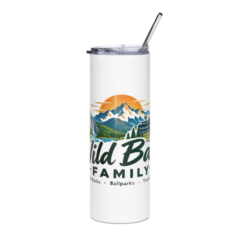 Stainless steel tumbler