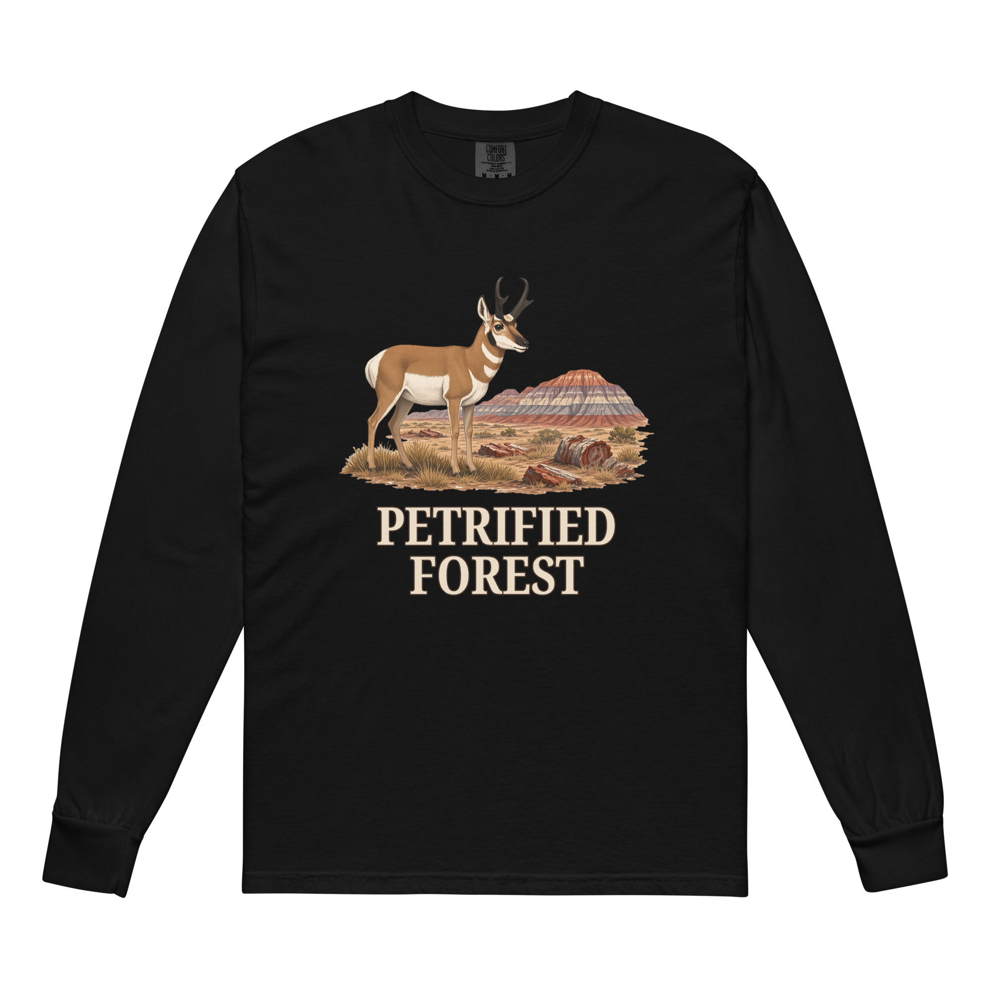 Petrified Forest National Park Long Sleeve - Image 2
