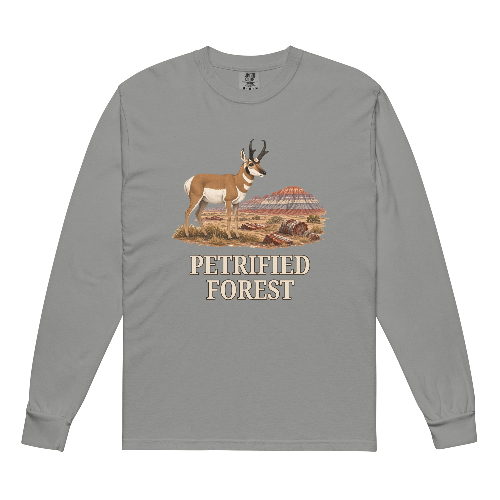 Petrified Forest National Park Long Sleeve - Image 5