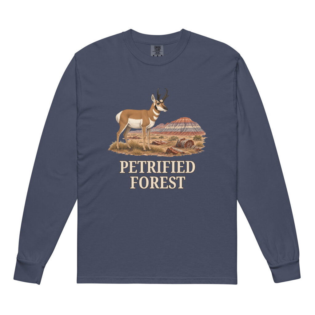 Petrified Forest National Park Long Sleeve