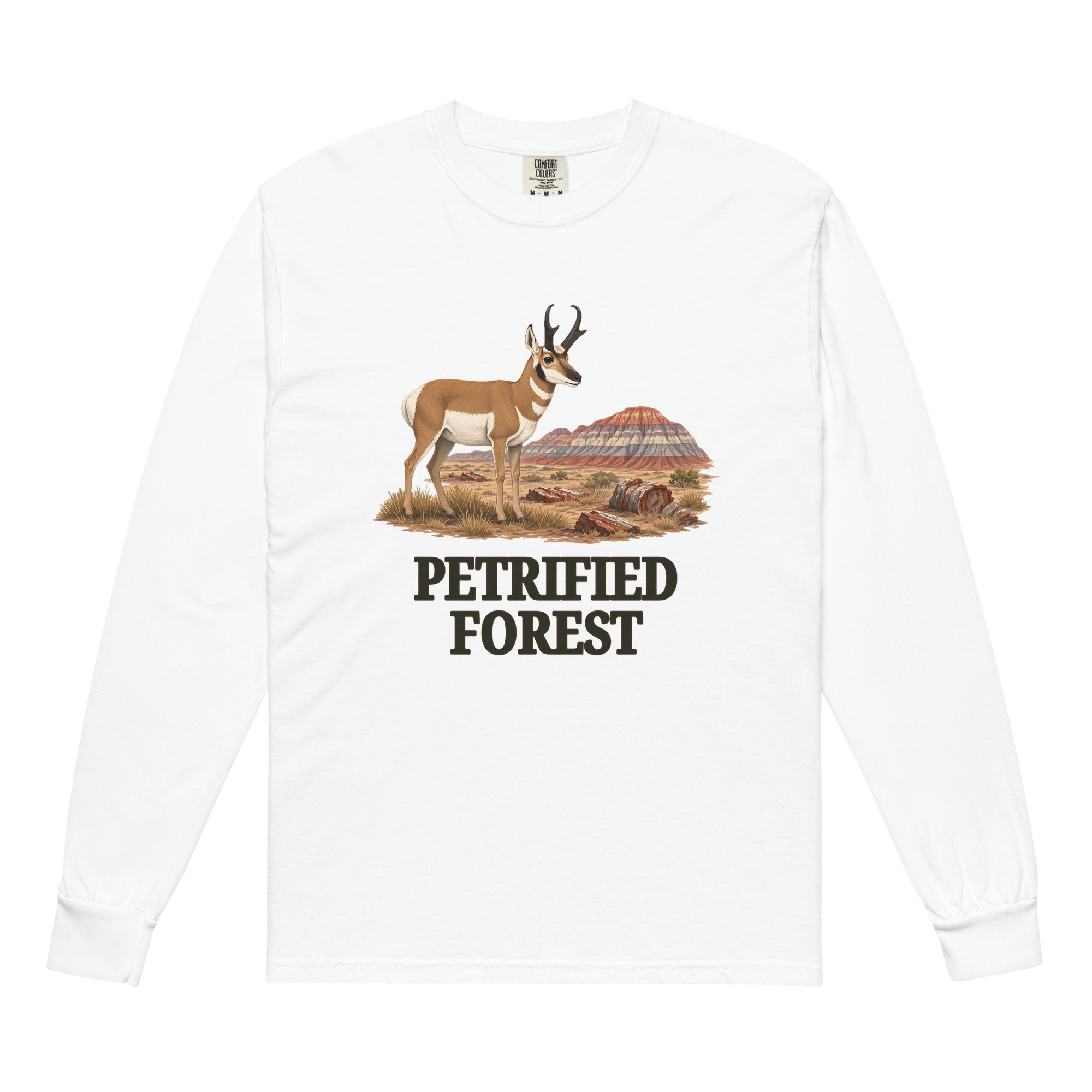 Petrified Forest National Park Long Sleeve - Image 6