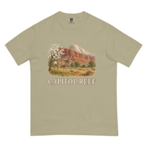 Capitol Reef Tee