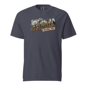 Postcard Tee