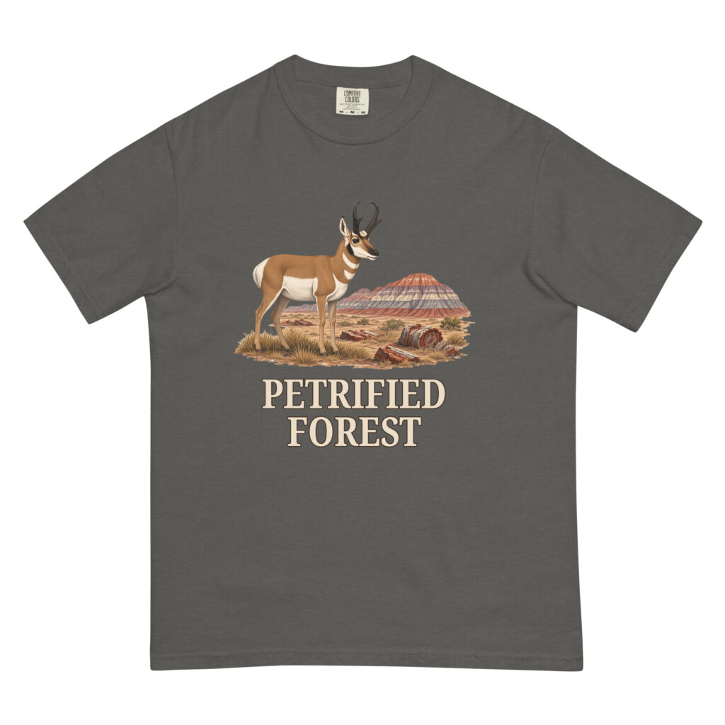 Petrified Forest National Park Tee