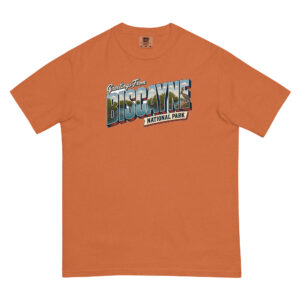 Postcard Tee