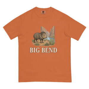 Big Bend Tee