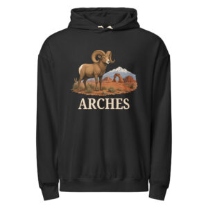 Arches Hoodie