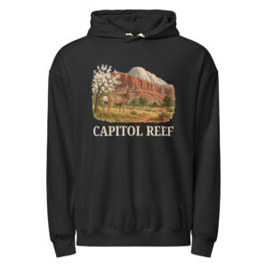 Capitol Reef Hoodie