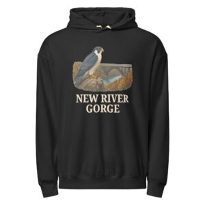Park Hoodie