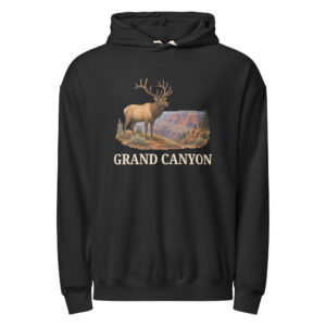 Postcard Hoodie