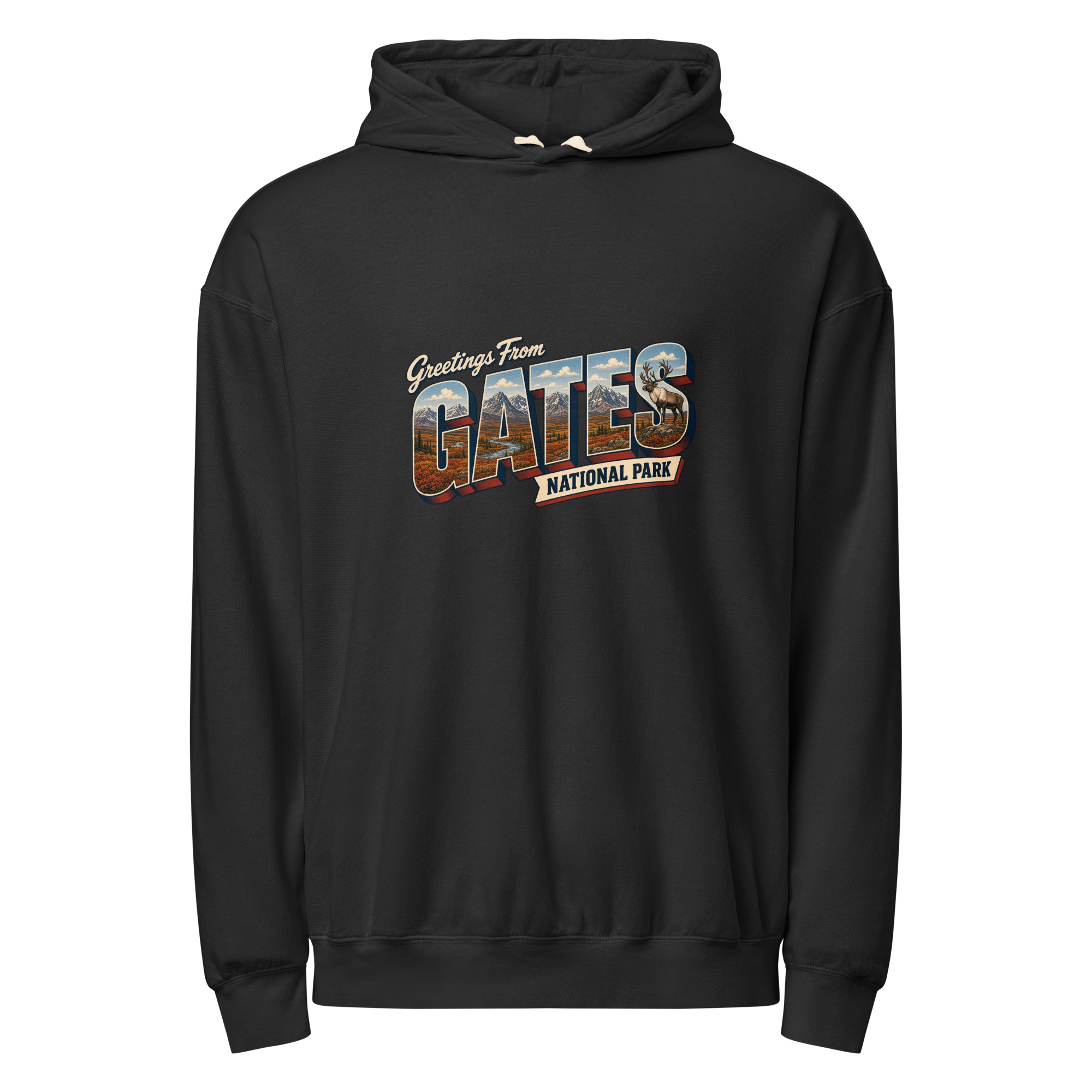 Gates of the Arctic National Park Postcard Hoodie - Image 2