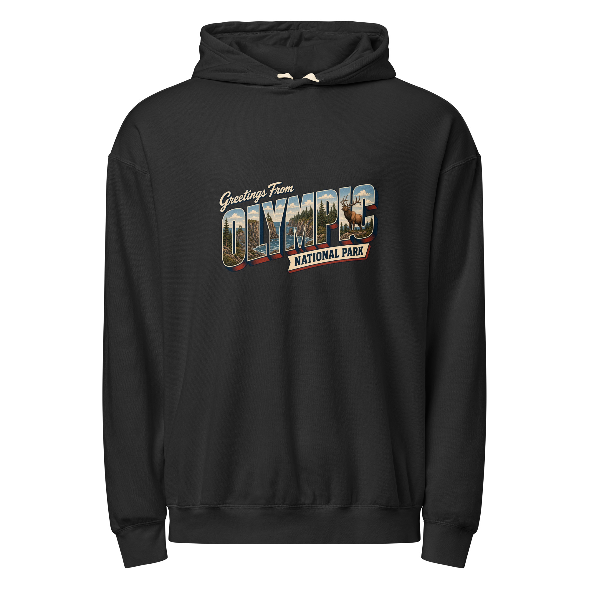 Olympic National Park Postcard Hoodie - Image 2