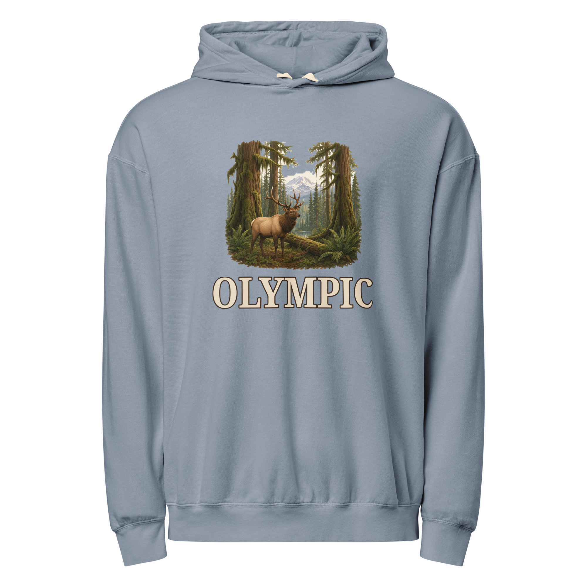 Olympic National Park Hoodie - Image 5