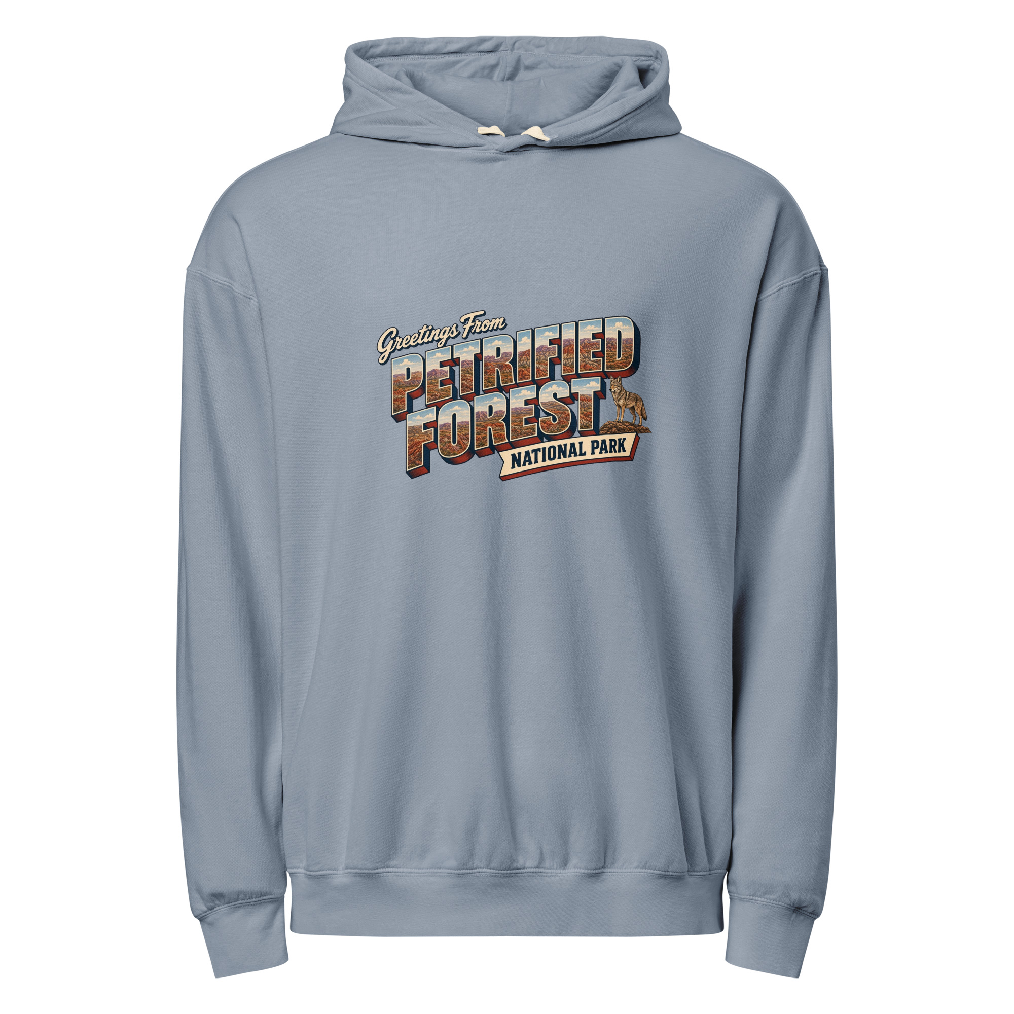 Petrified Forest National Park Postcard Hoodie - Image 5