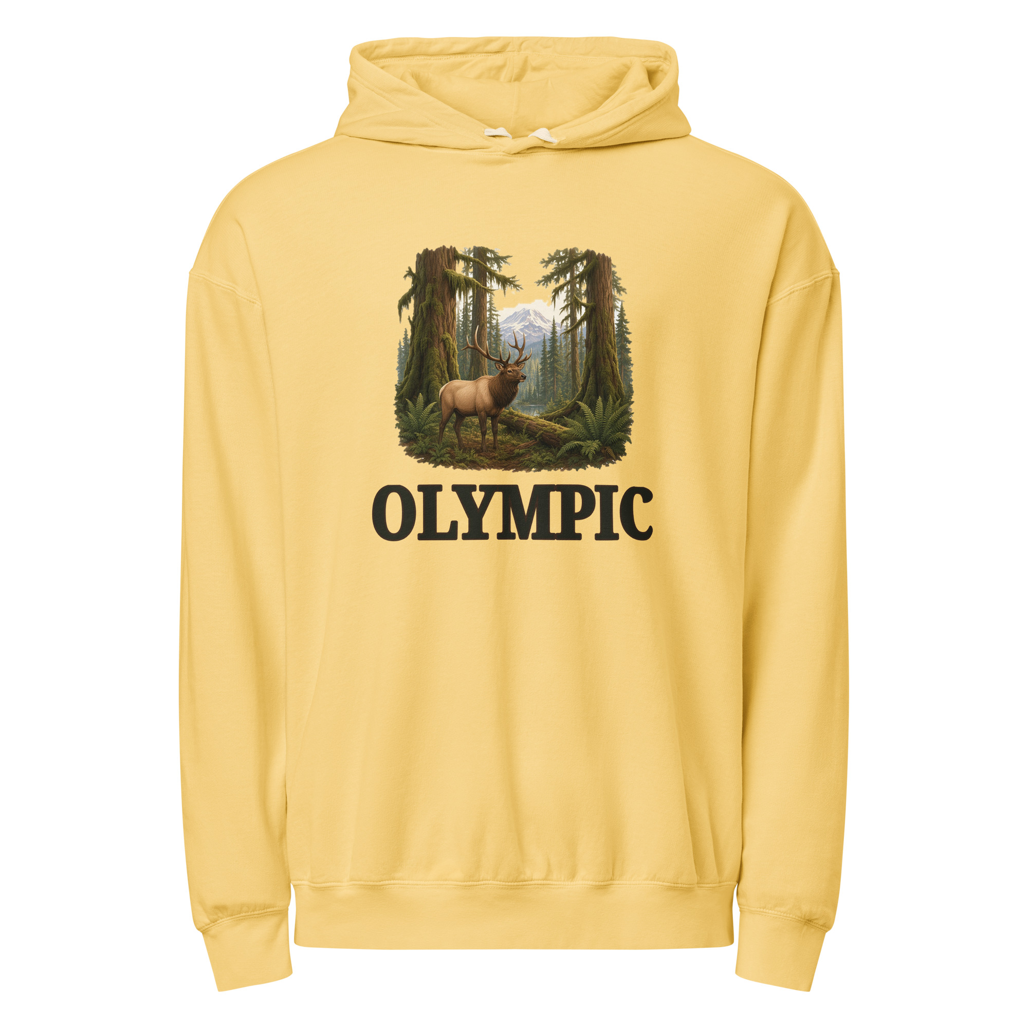 Olympic National Park Hoodie - Image 6