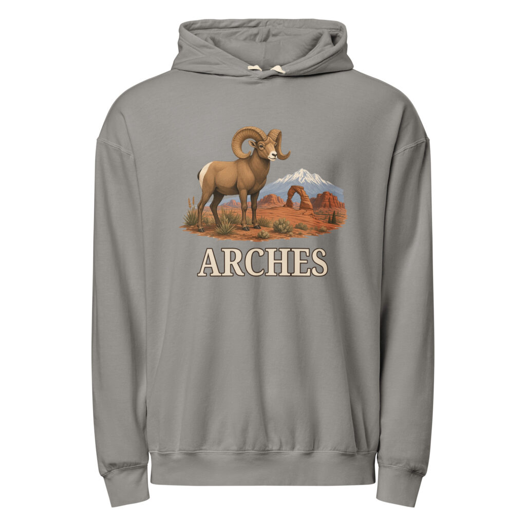 Arches National Park Hoodie