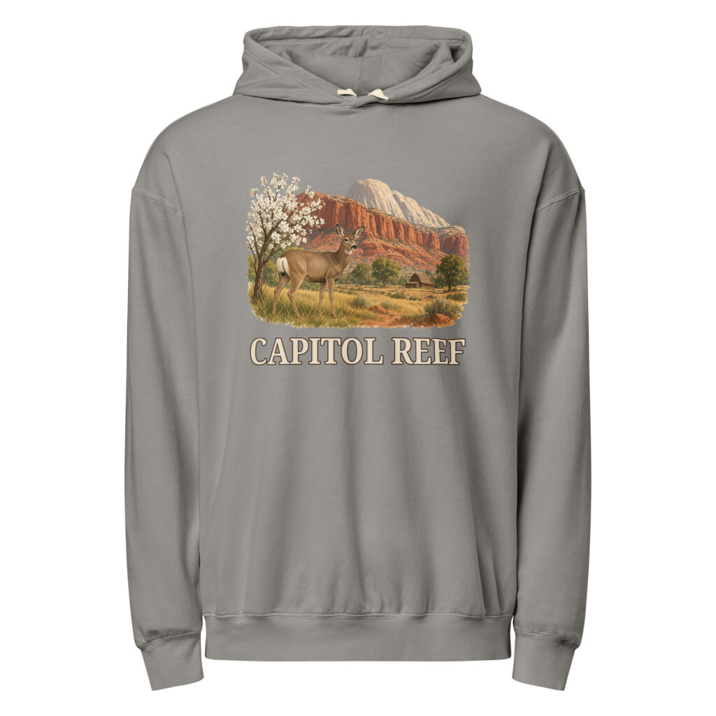 Capitol Reef National Park Hoodie