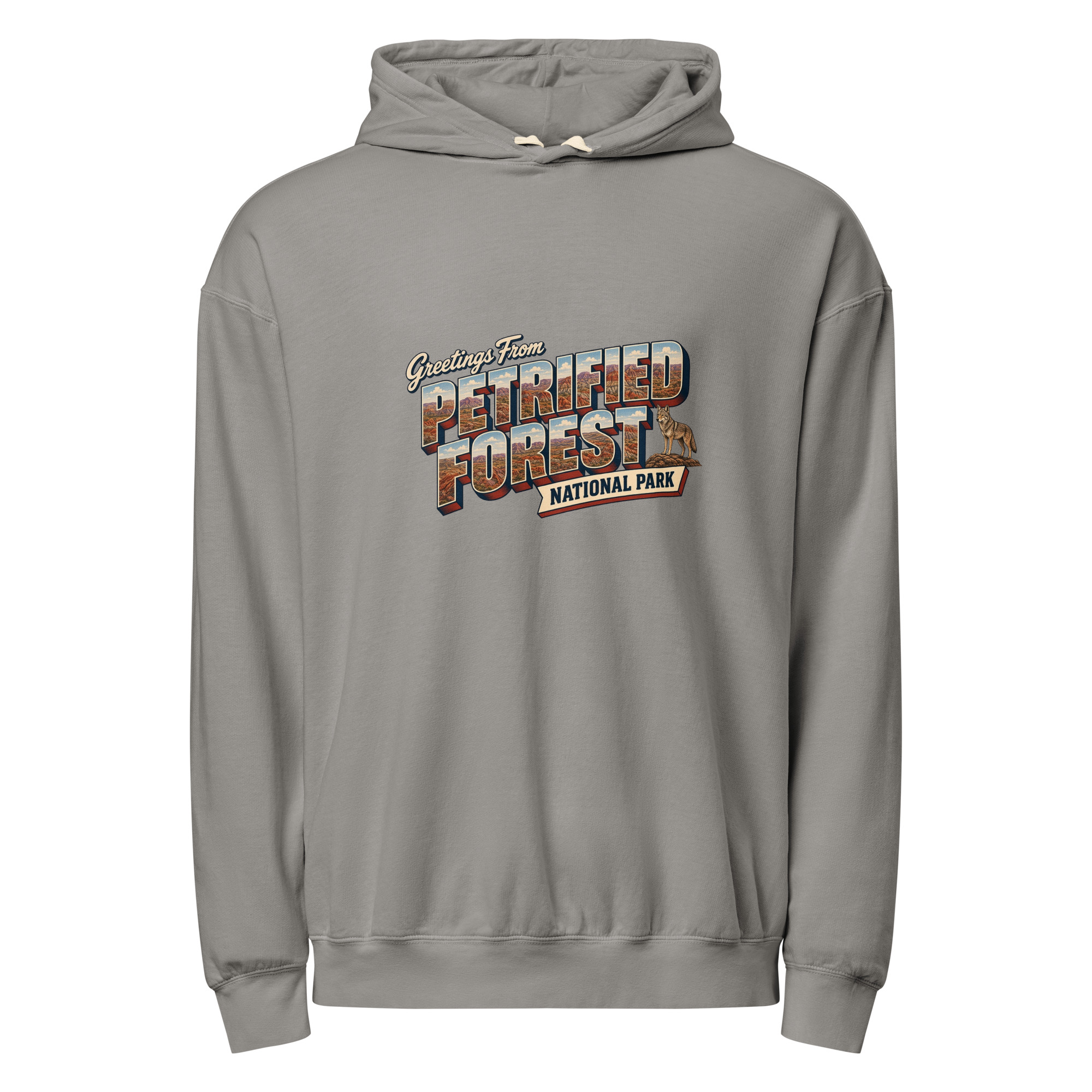 Petrified Forest National Park Postcard Hoodie - Image 4