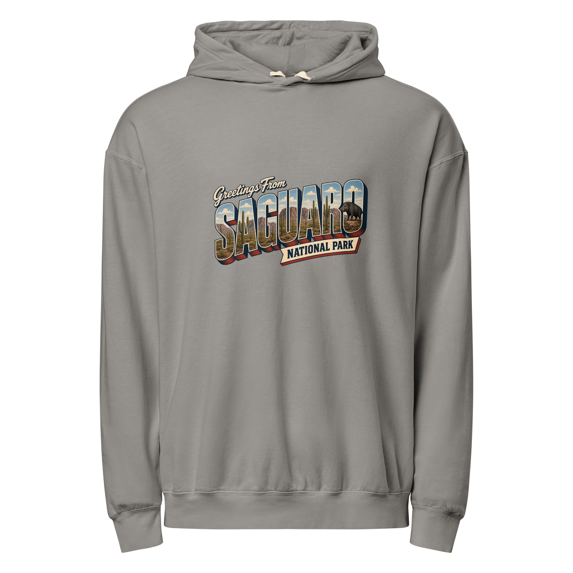 Saguaro National Park Postcard Hoodie - Image 4