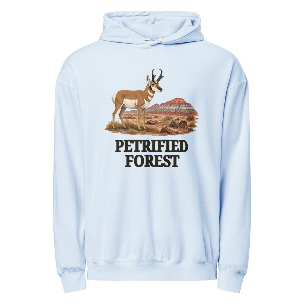 Petrified Forest National Park Hoodie
