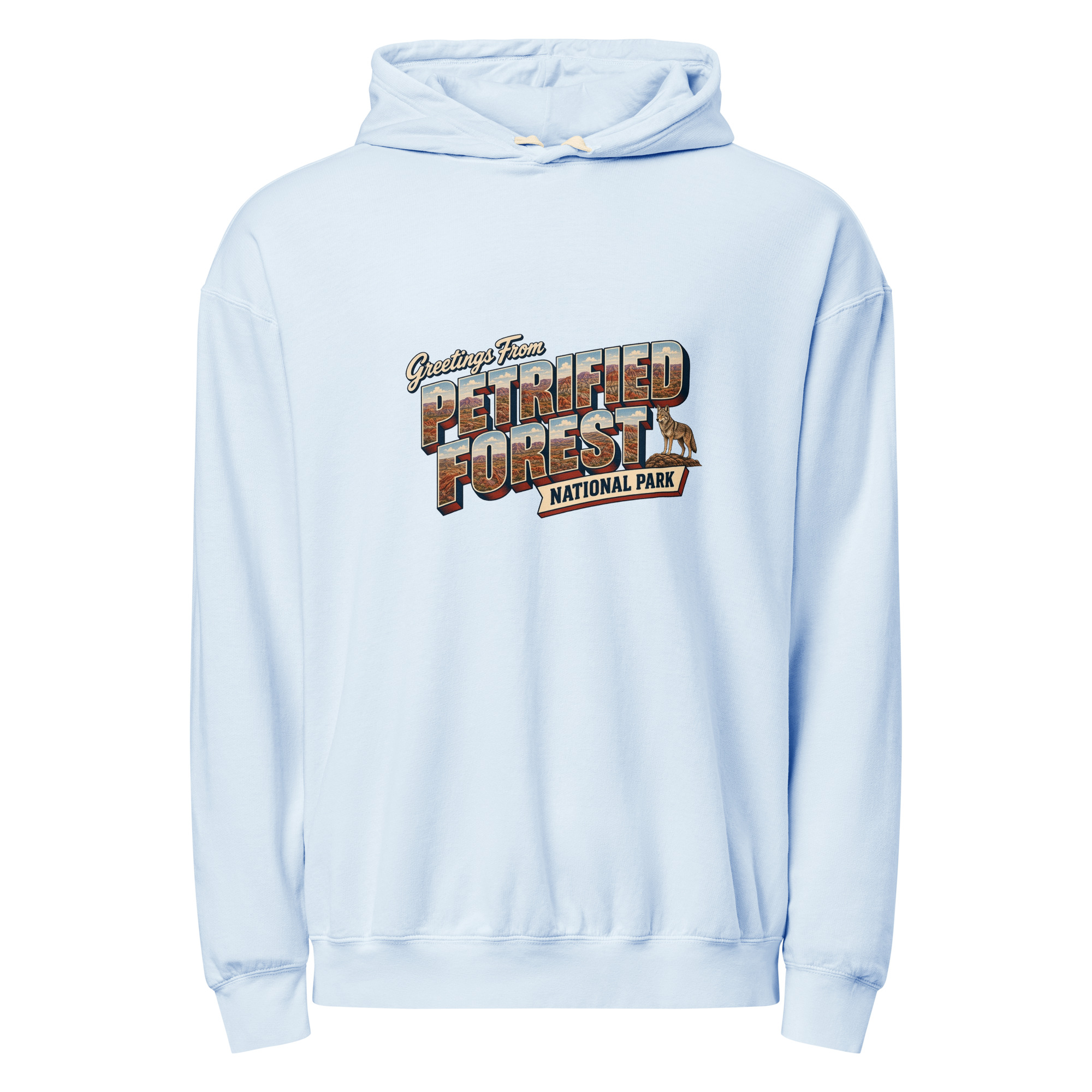 Petrified Forest National Park Postcard Hoodie - Image 7