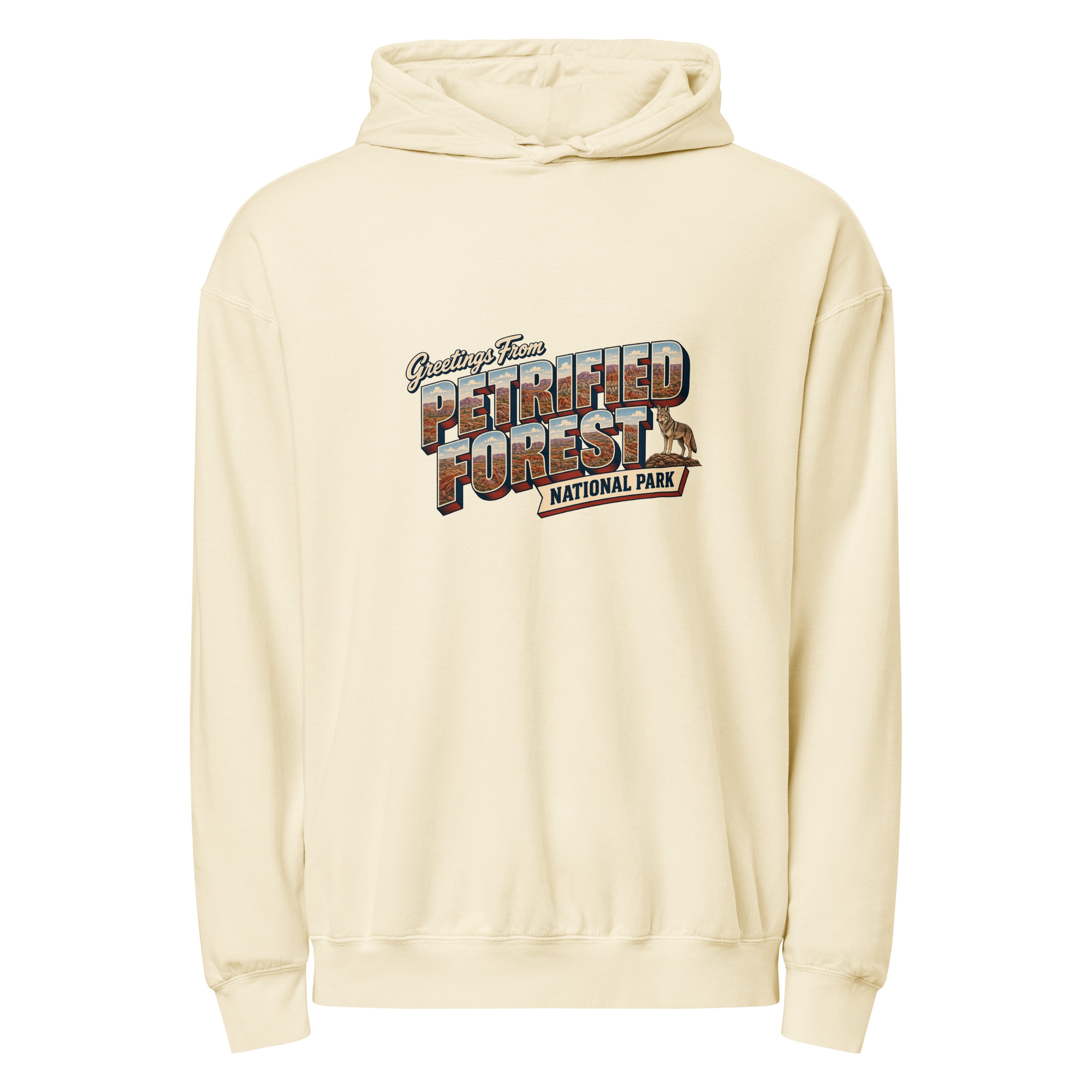 Petrified Forest National Park Postcard Hoodie - Image 8