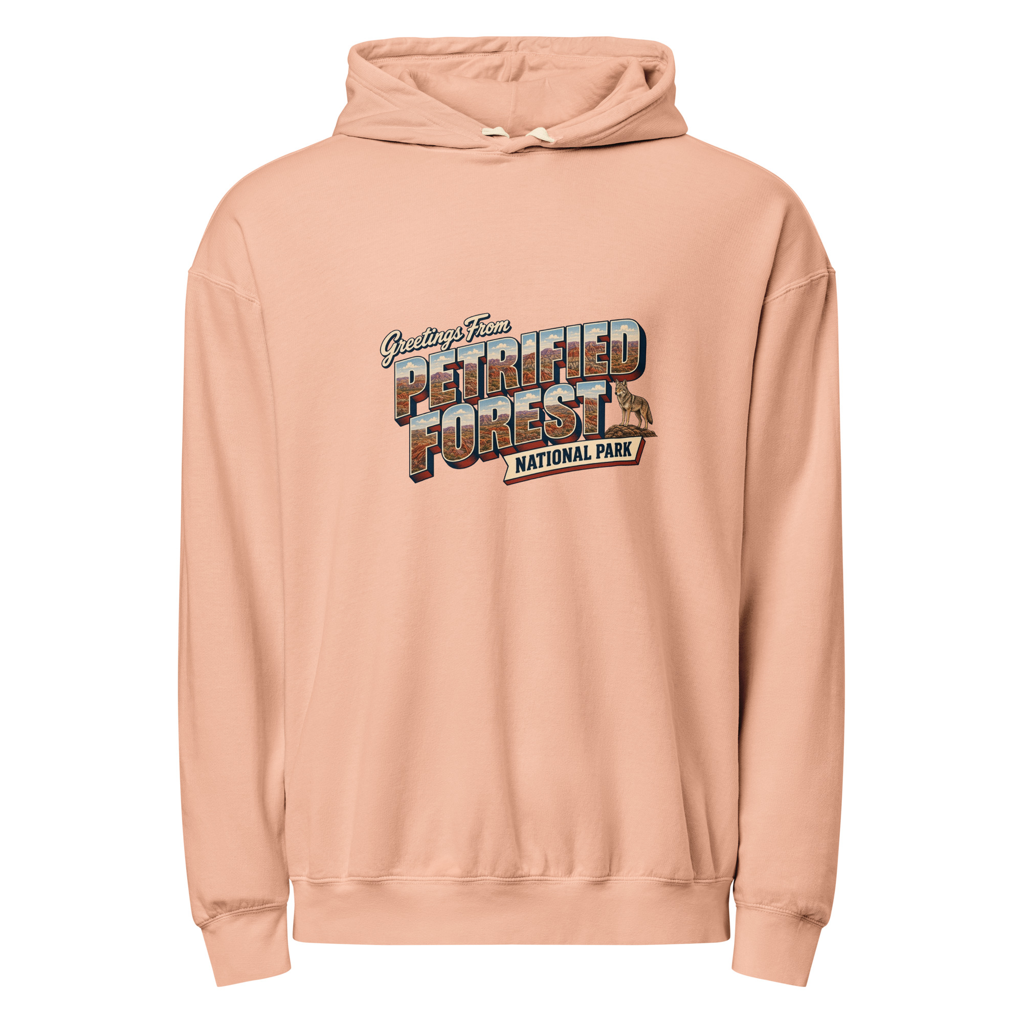 Petrified Forest National Park Postcard Hoodie