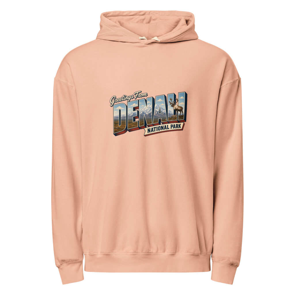 Denali National Park Postcard Hoodie