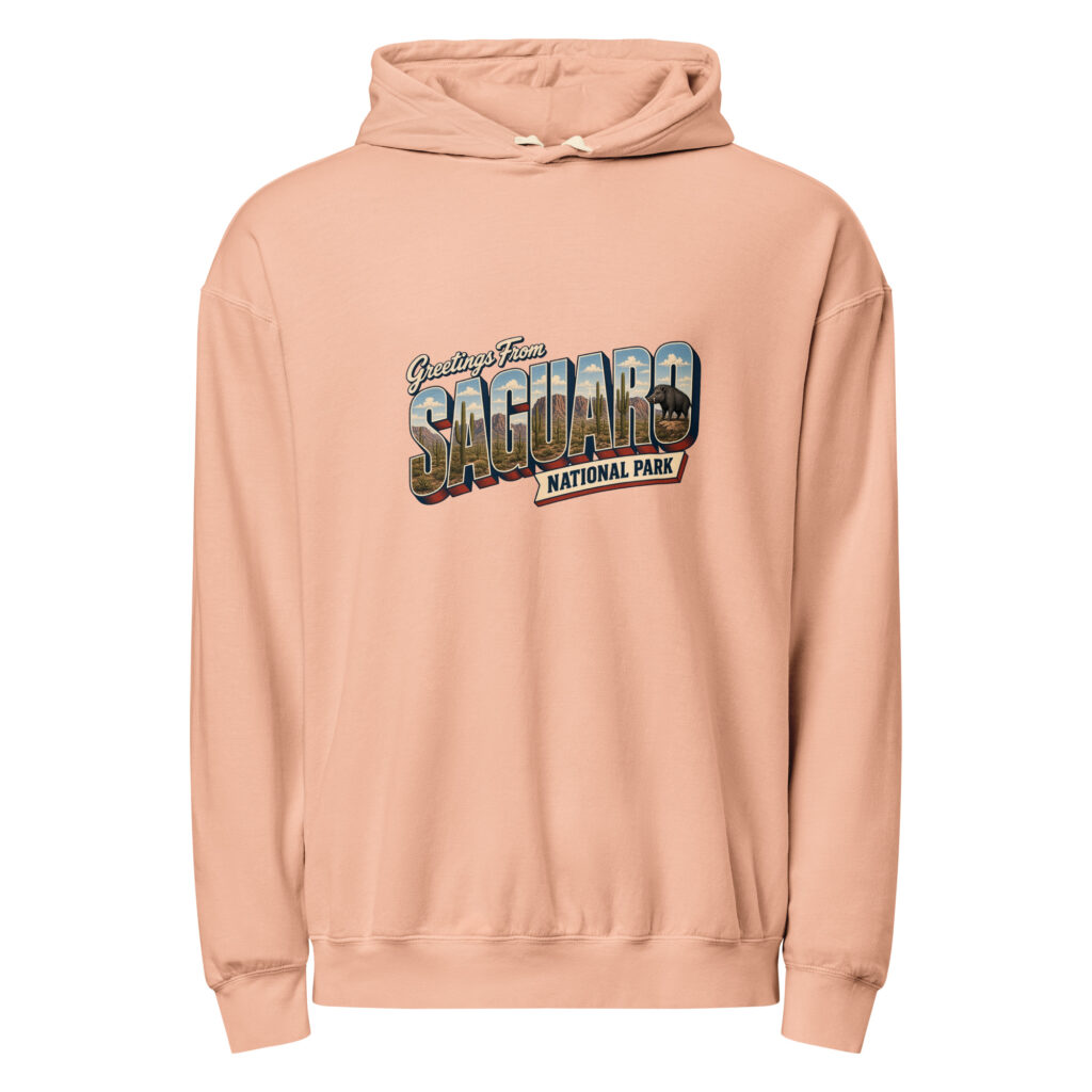 Saguaro National Park Postcard Hoodie