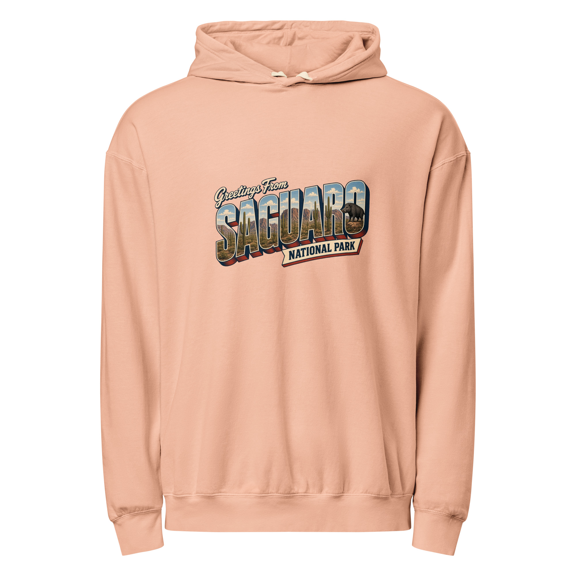 Saguaro National Park Postcard Hoodie