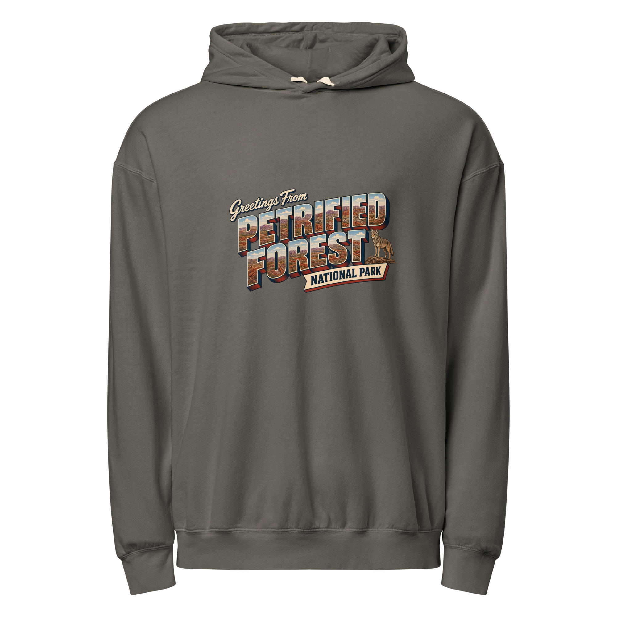 Petrified Forest National Park Postcard Hoodie - Image 3