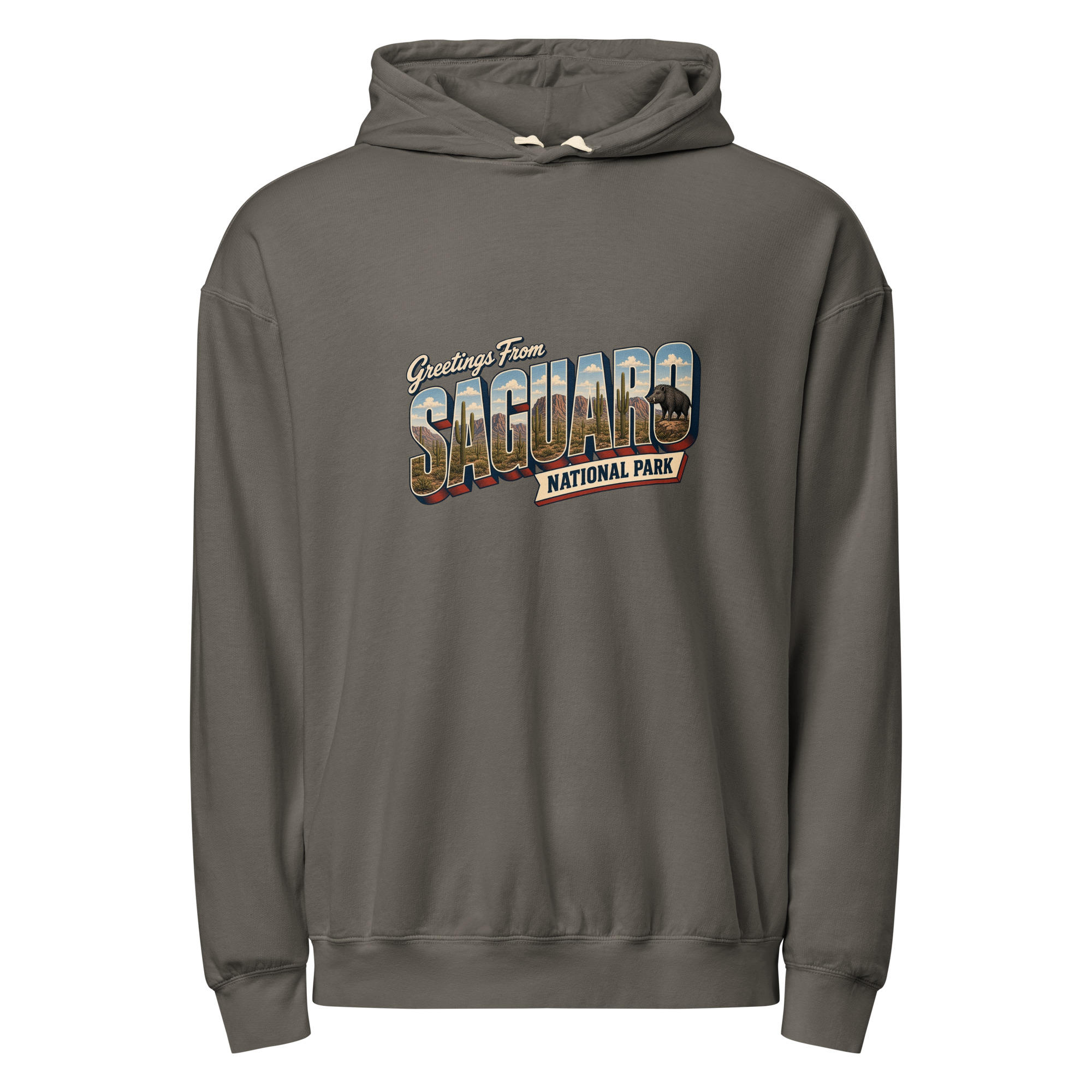 Saguaro National Park Postcard Hoodie - Image 3