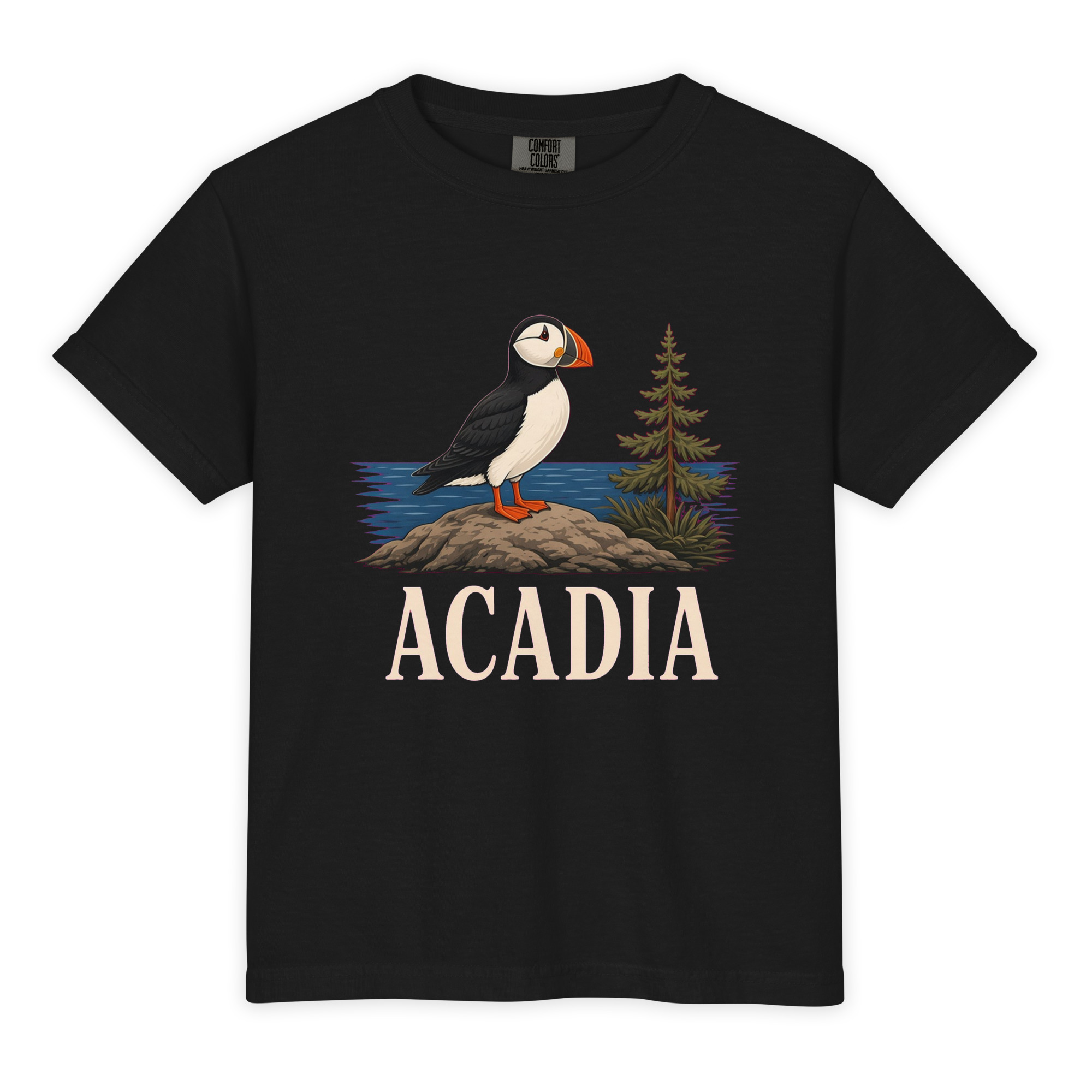Acadia National Park Youth Tee - Image 2