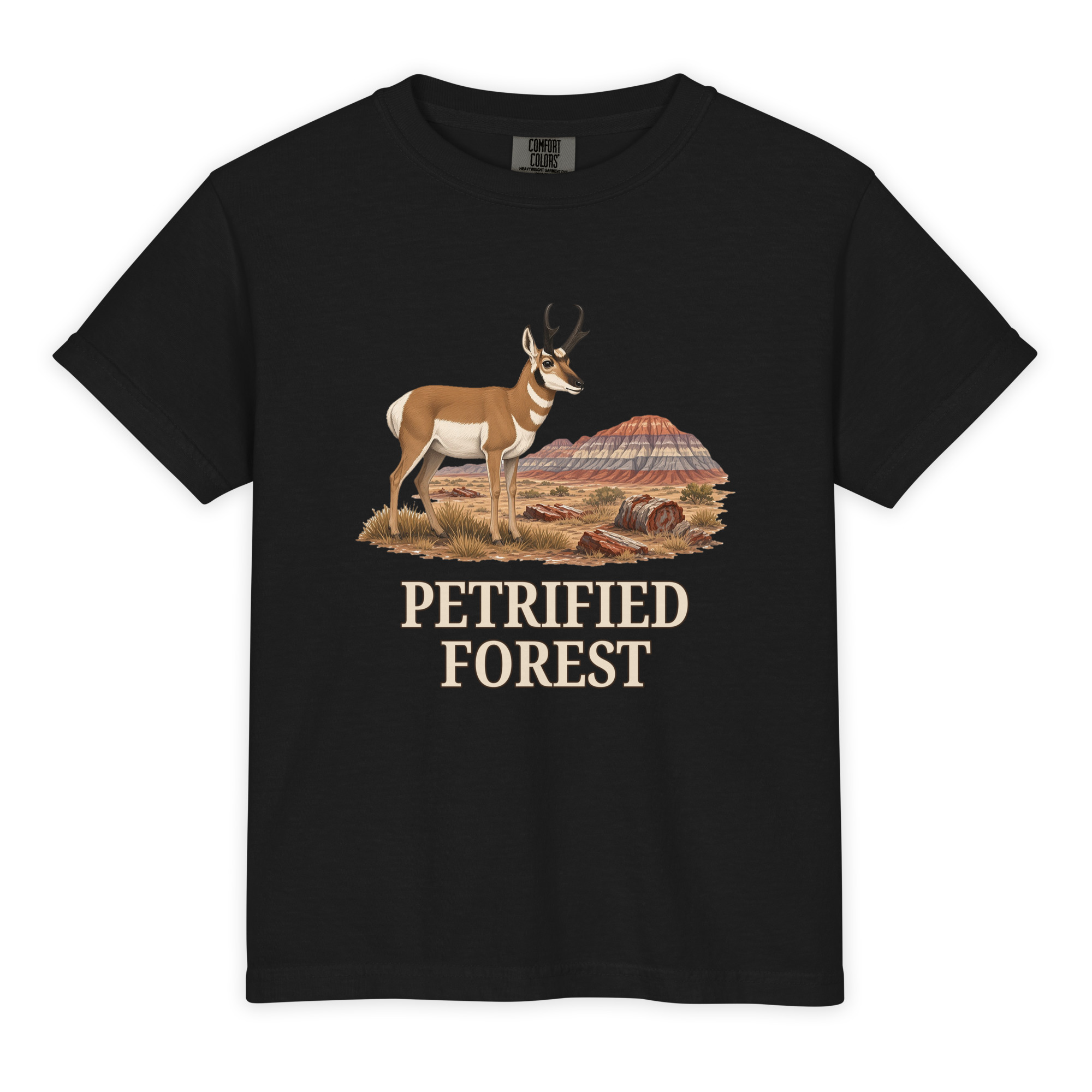 Petrified Forest National Park Youth Tee - Image 2