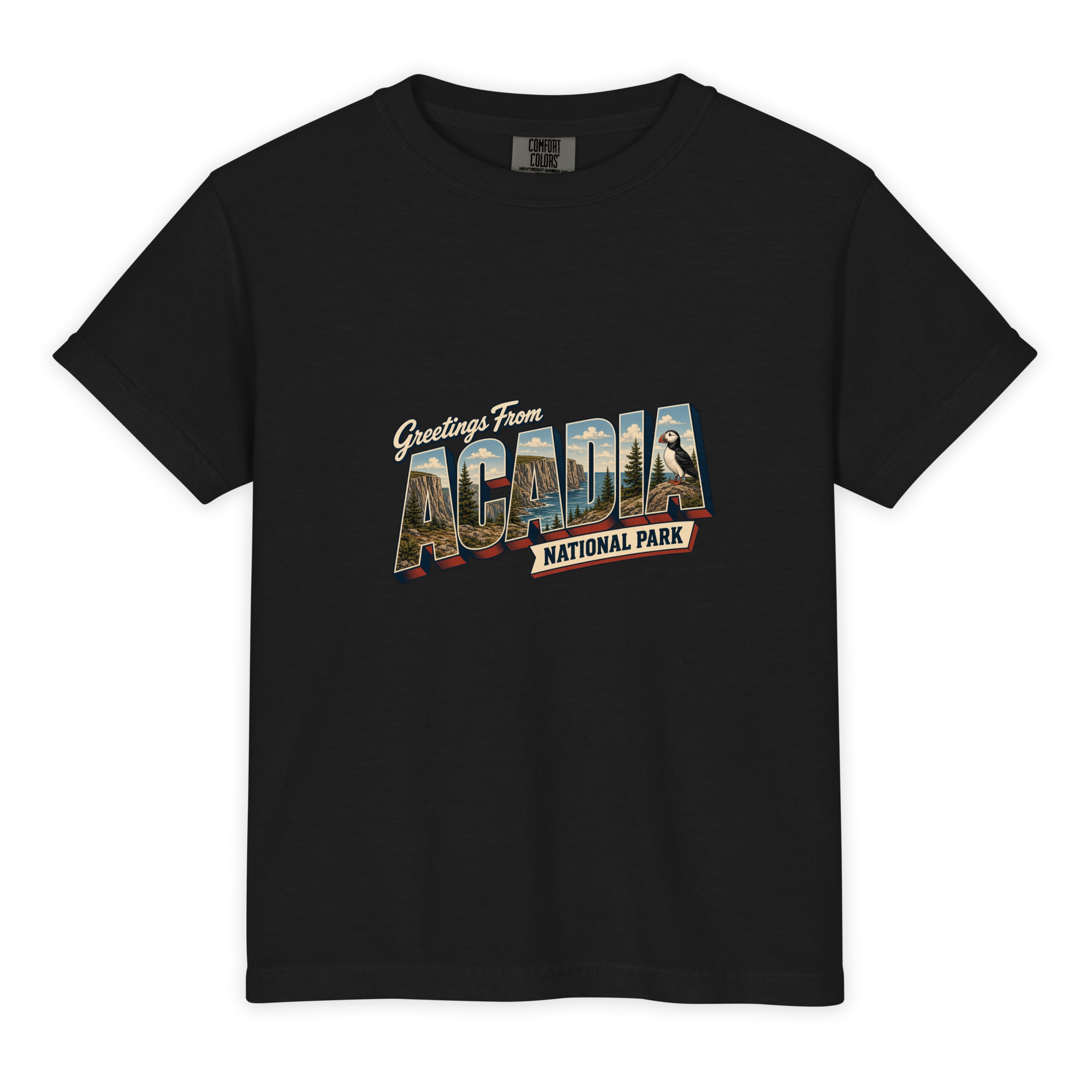 Acadia National Park Postcard Youth Tee - Image 2