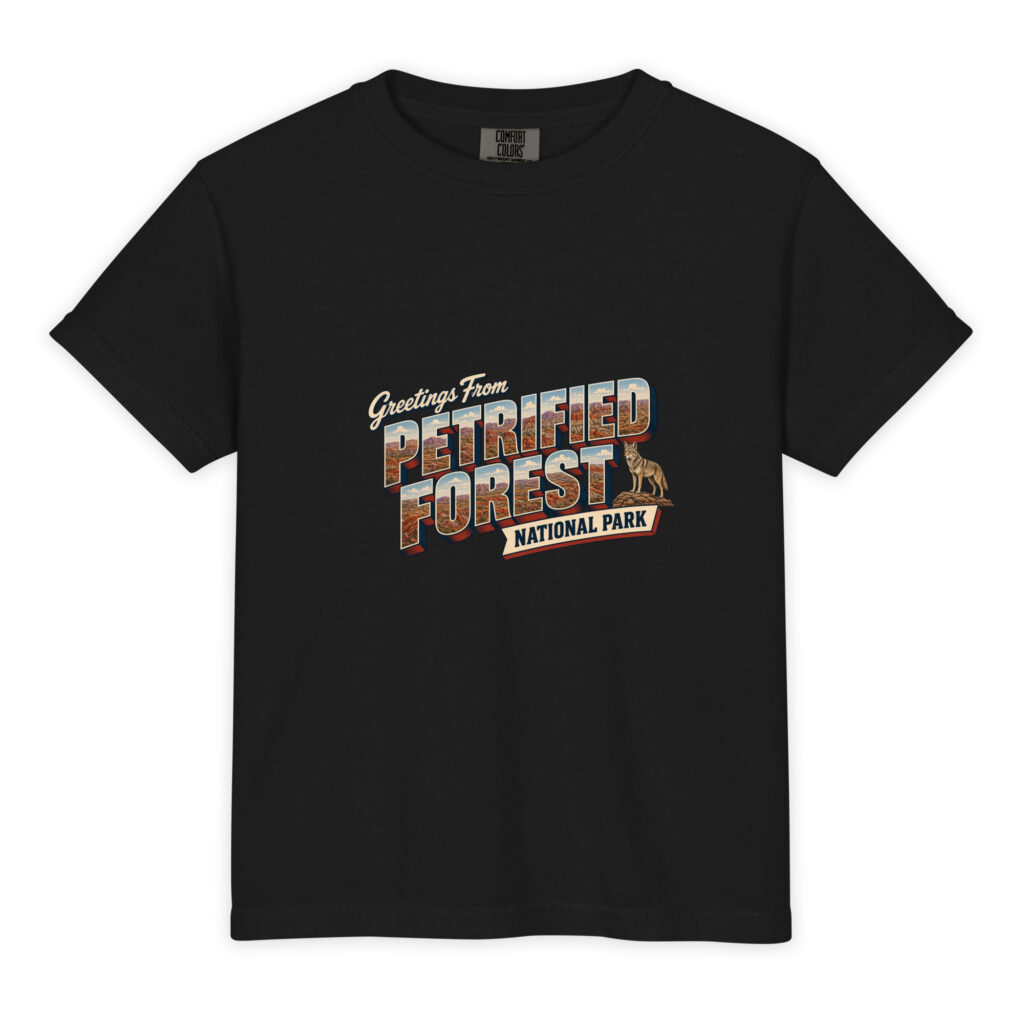 Petrified Forest National Park Postcard Youth Tee