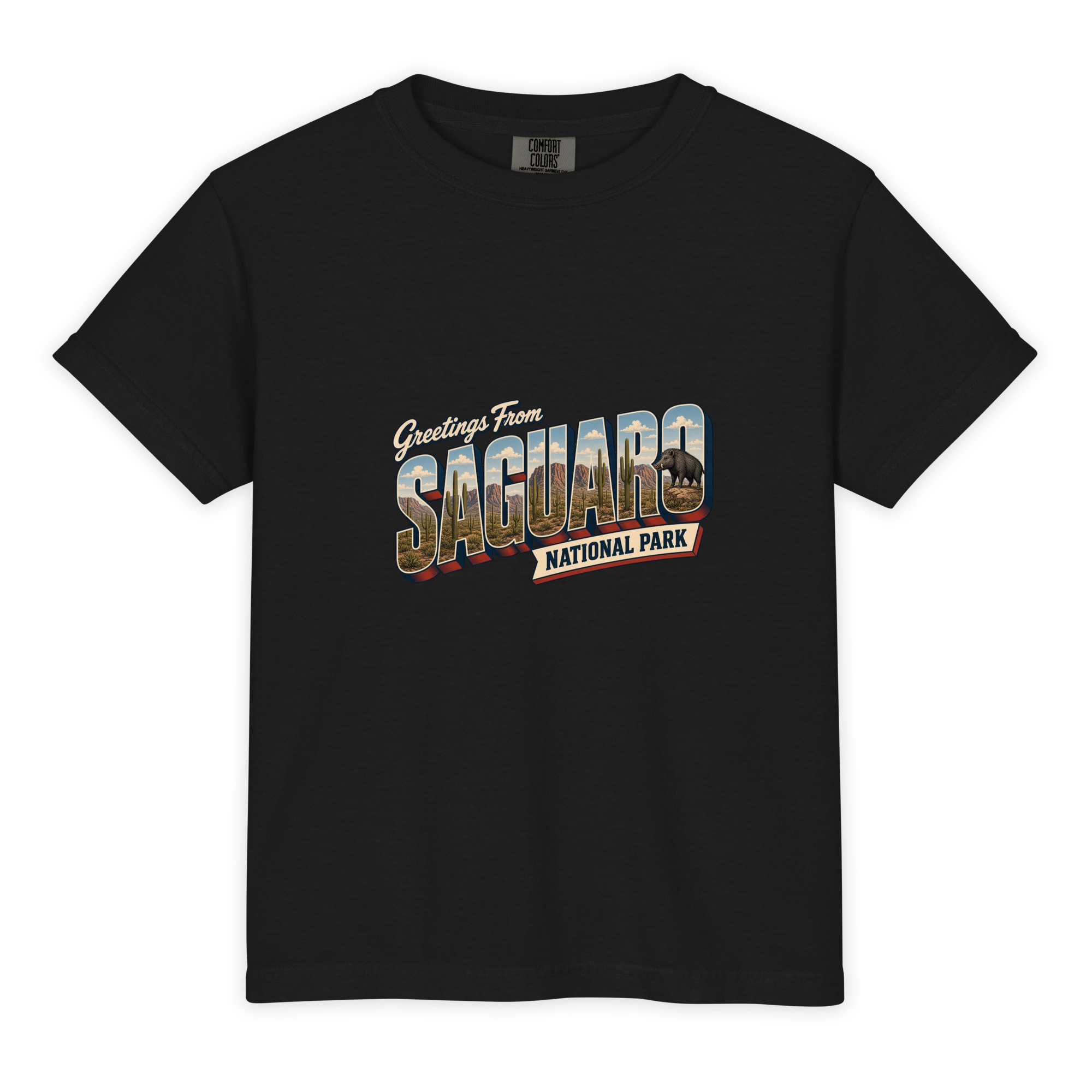 Saguaro National Park Postcard Youth Tee