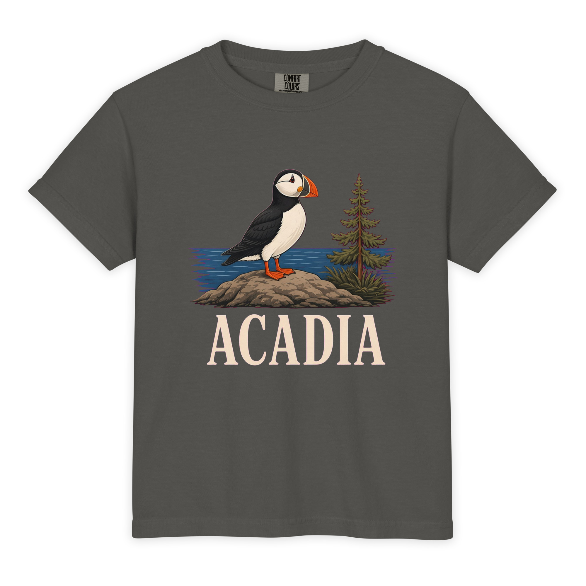Acadia National Park Youth Tee