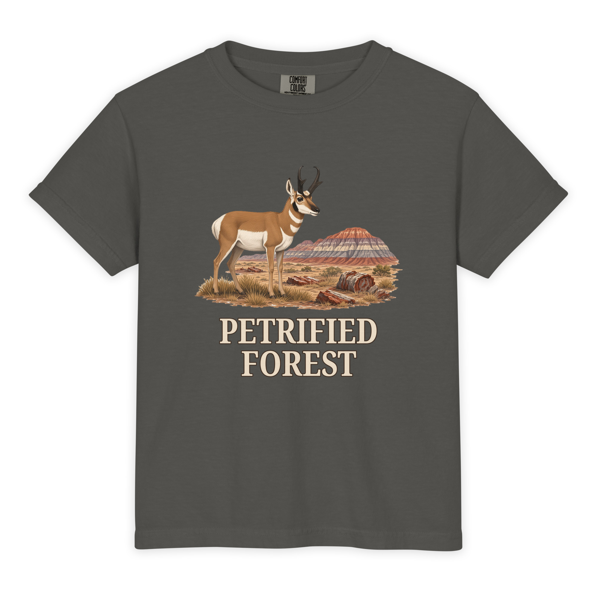 Petrified Forest National Park Youth Tee - Image 3