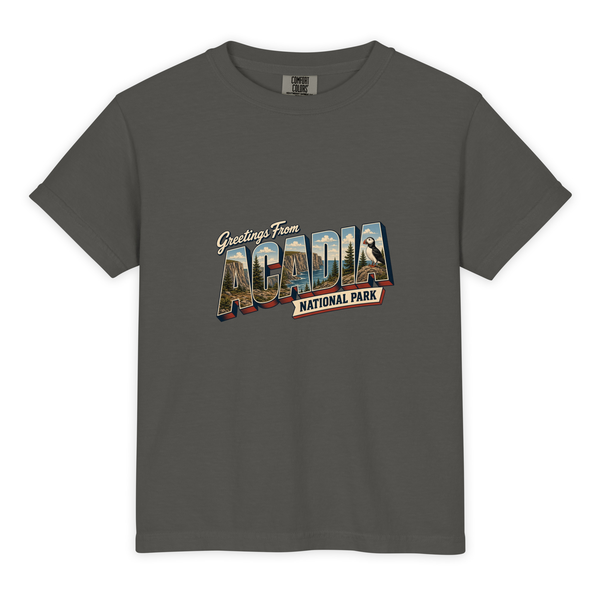 Acadia National Park Postcard Youth Tee - Image 3