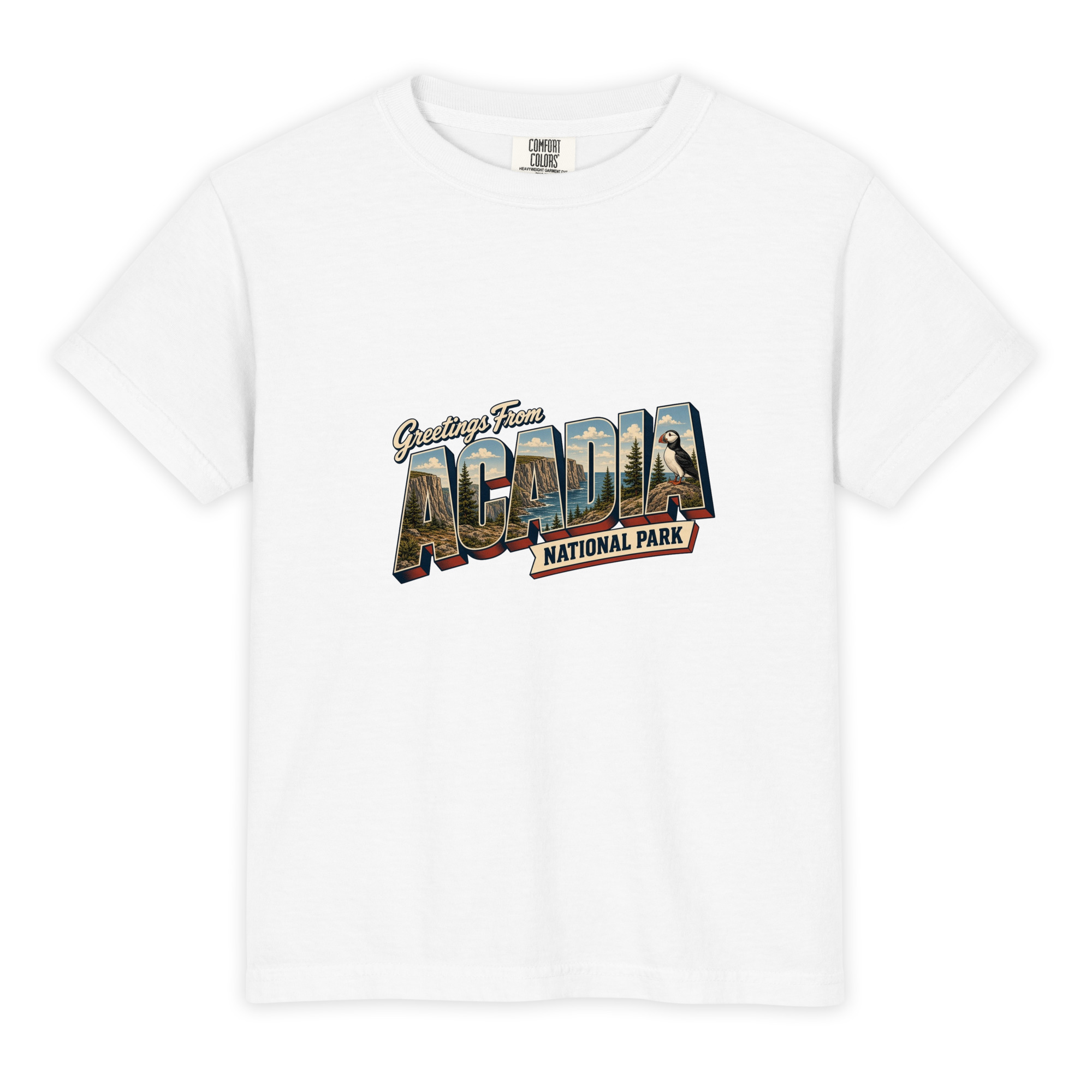 Acadia National Park Postcard Youth Tee