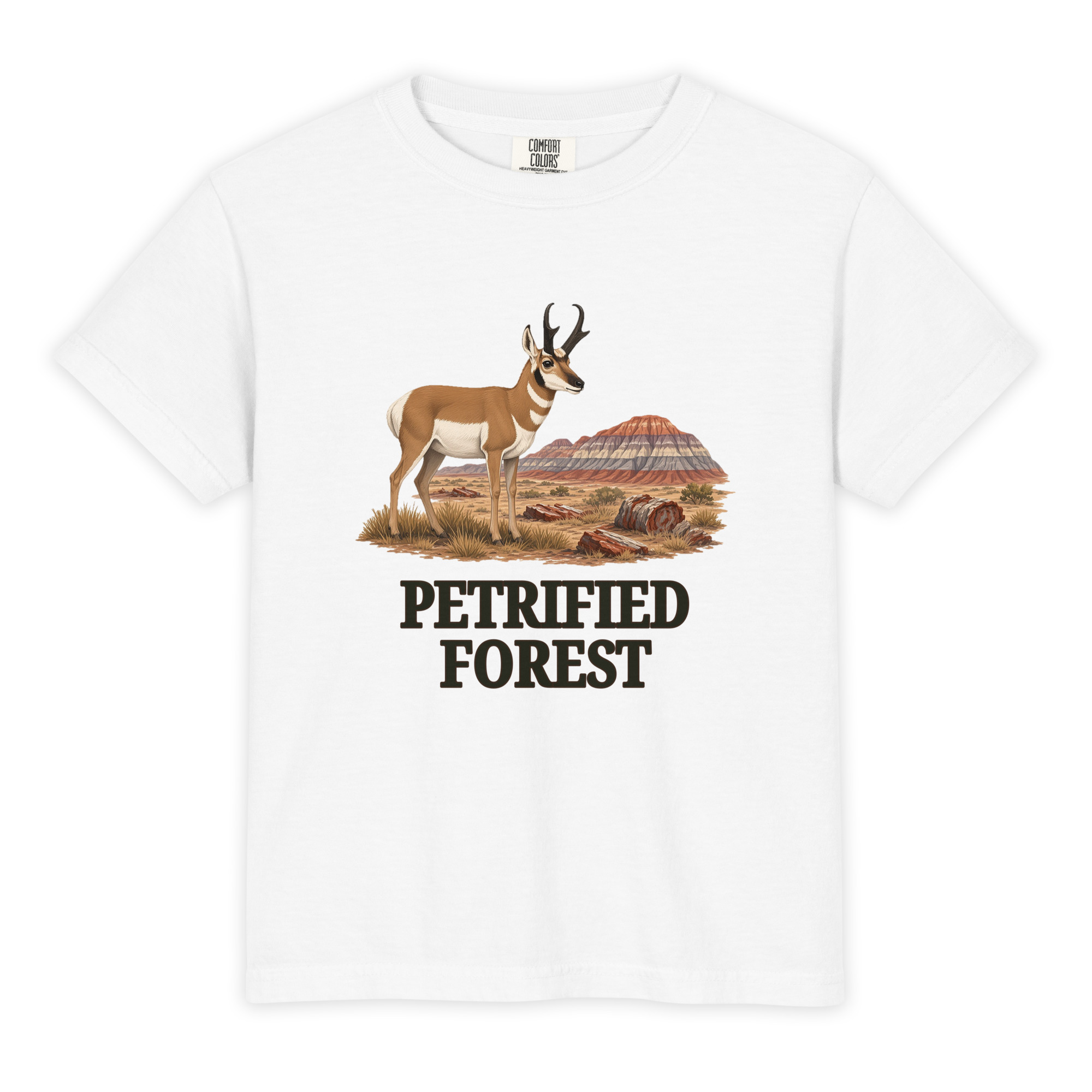 Petrified Forest National Park Youth Tee